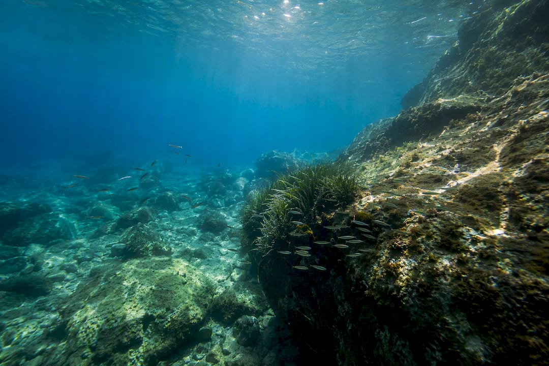 Clear underwater view with fish and rocks in Blue Lagoon