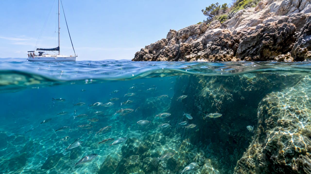 Fish schooling beside Kelyfos rocky shoreline